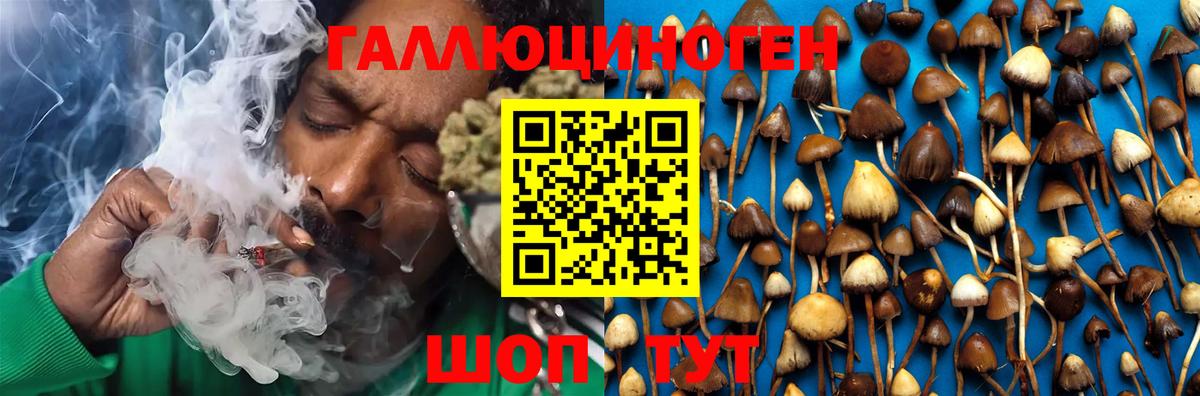 Псилоцибиновые грибы Magic Shrooms Кимры